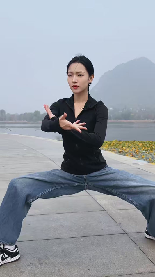 Chen's Taijiquan Thirteen Positions for Refining the Spirit (Teacher YuanZhi)