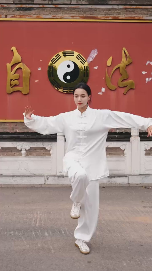 Nine Turns Tai Chi (Teacher YuanZhi)