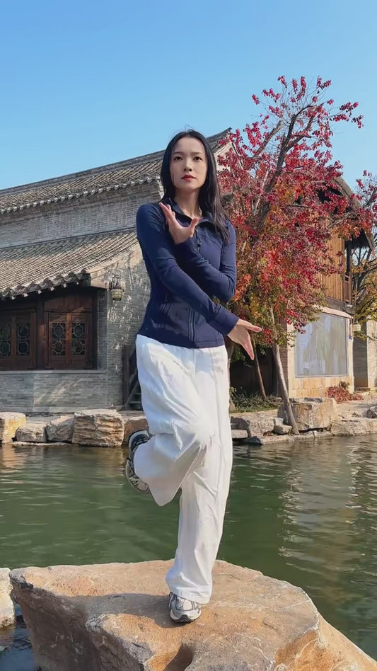 Liu He Ba Fa Gong (Teacher YuanZhi)